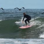 Man surfing with pelicans